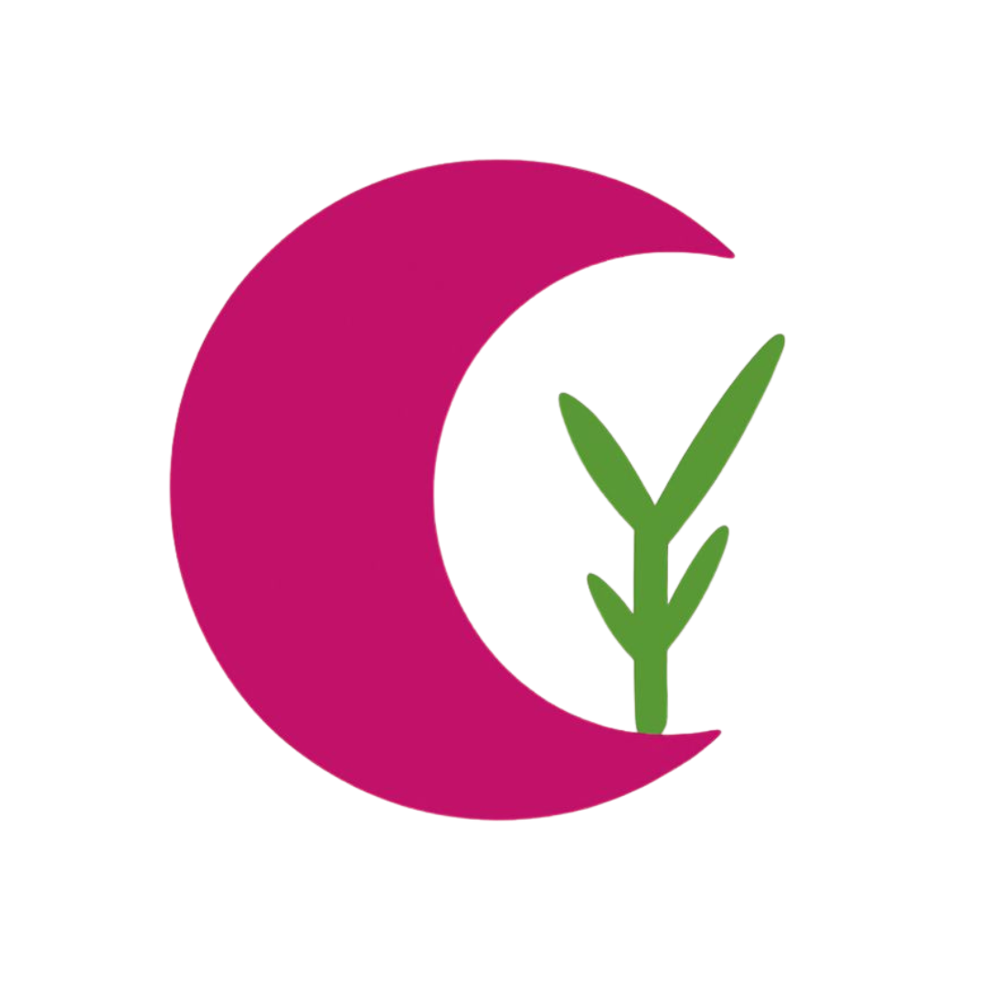 Vibe Coding for Therapists